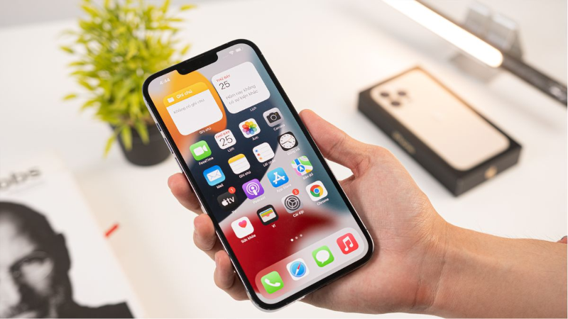 Hàng Apple Active Online là gì? - hình 4