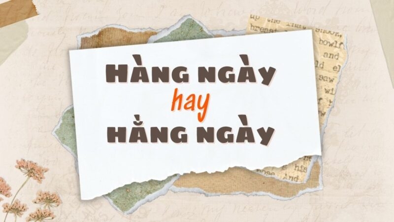 Hằng ngày hay hàng ngày ảnh 2