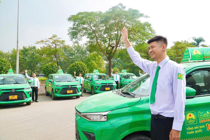 12 hãng taxi Diên Khánh (hình 8)