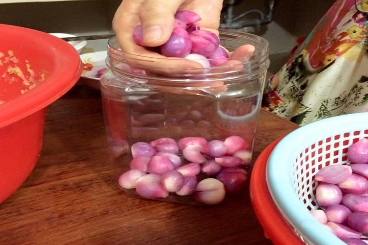 Hành muối xổi (Hình 5)