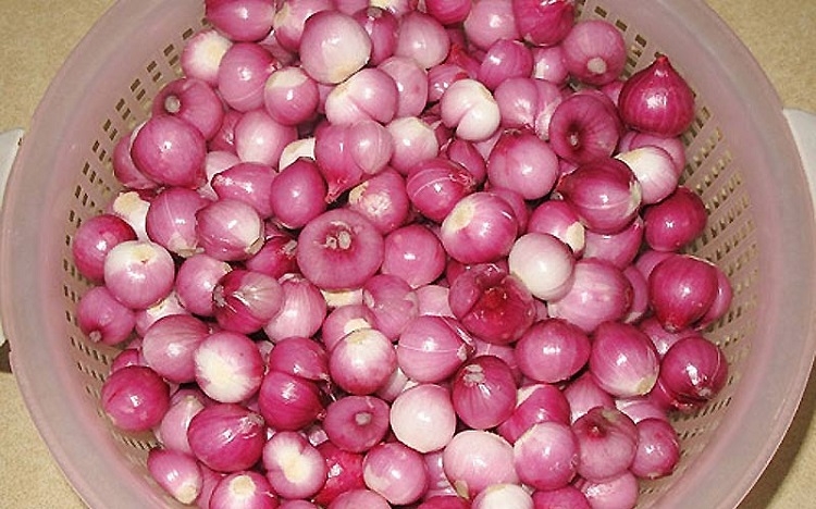Hành muối xổi (Hình 4)