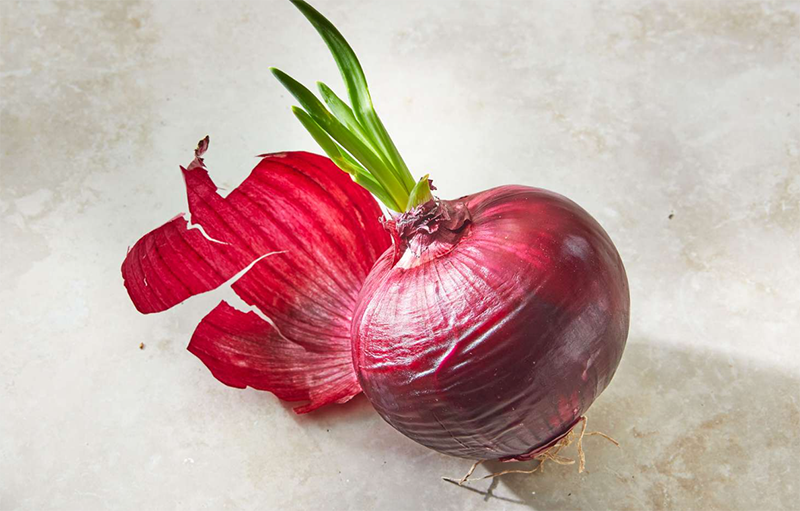 Hành tây bao nhiêu calo? (hình 13)