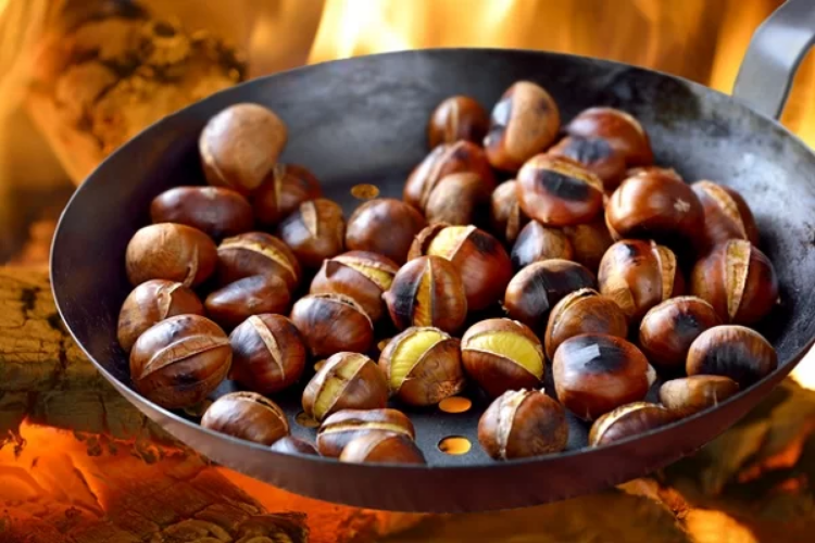hạt chestnut 5