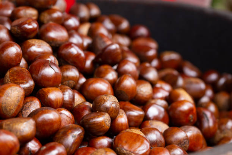 hạt chestnut 3
