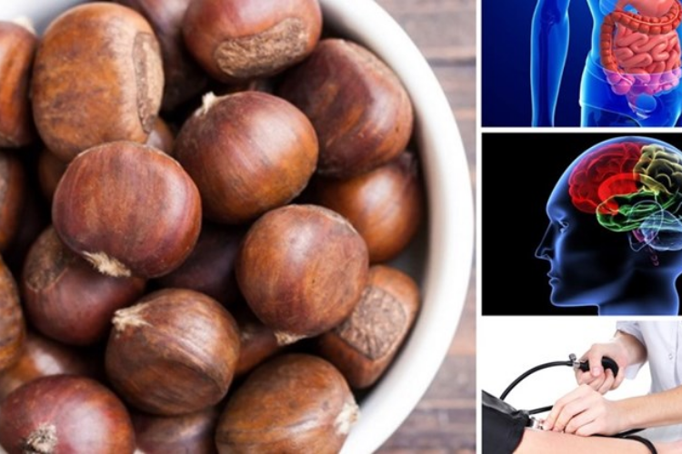 hạt chestnut 4