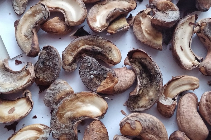 Hạt điều bao nhiêu calo? (hình 10)