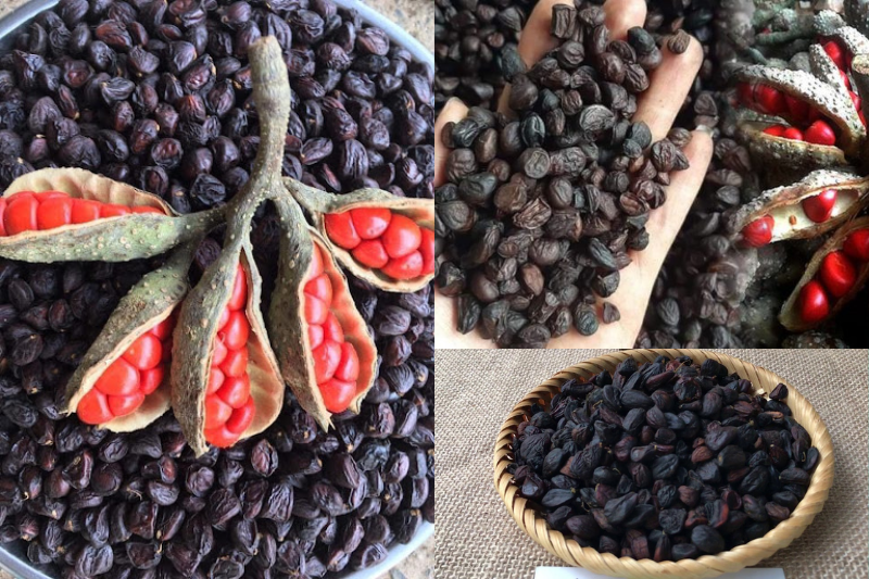 hạt dổi 1