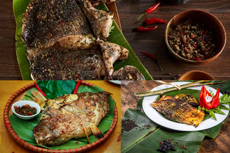 hạt dổi 5