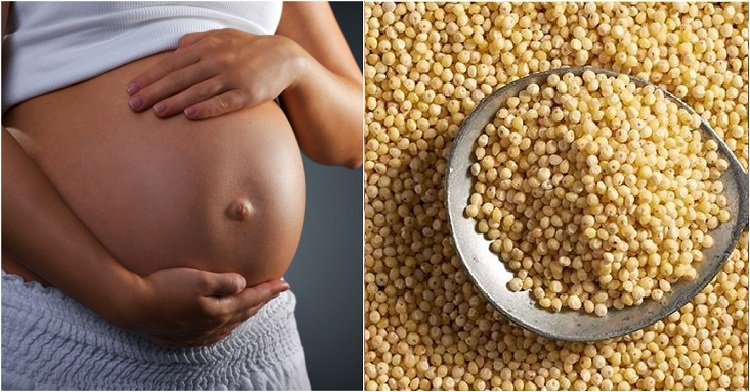 Hạt kê (Hình 11)