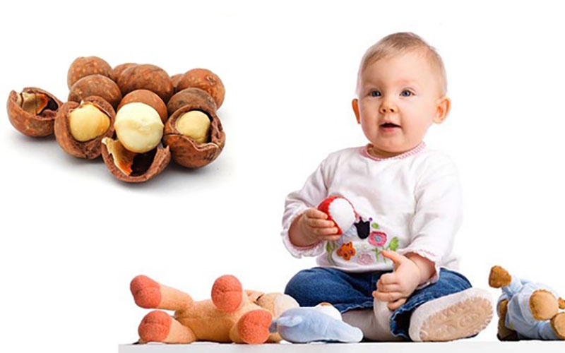 Hạt macca bao nhiêu calo? (hình 7)