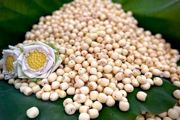 Hạt sen khô dùng làm món gì? Cách sơ chế hạt sen khô giúp món ăn thơm ngon, không bị sượng, đắng