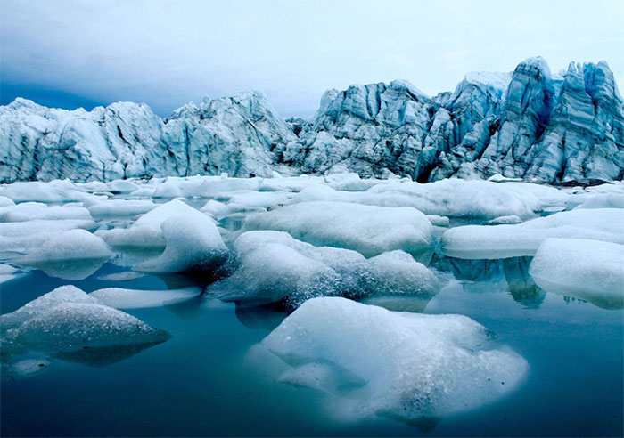 Hậu quả của ô nhiễm môi trường (hình 6)