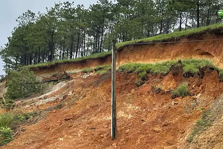 Hậu quả của ô nhiễm môi trường (hình 7)