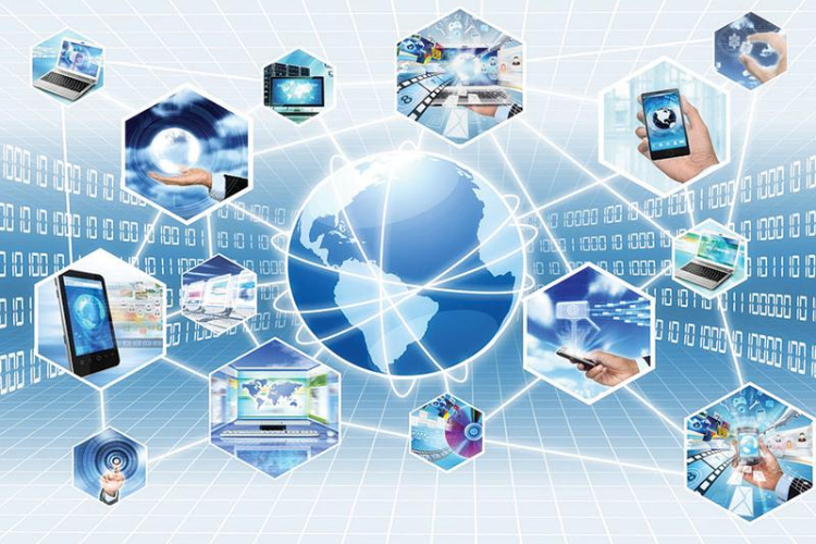 hệ sinh thái là gì 2