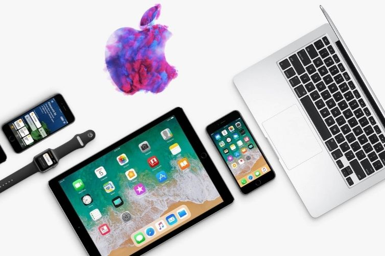 hệ sinh thái là gì 3