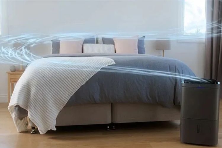 Hệ thống PureZen ảnh 2