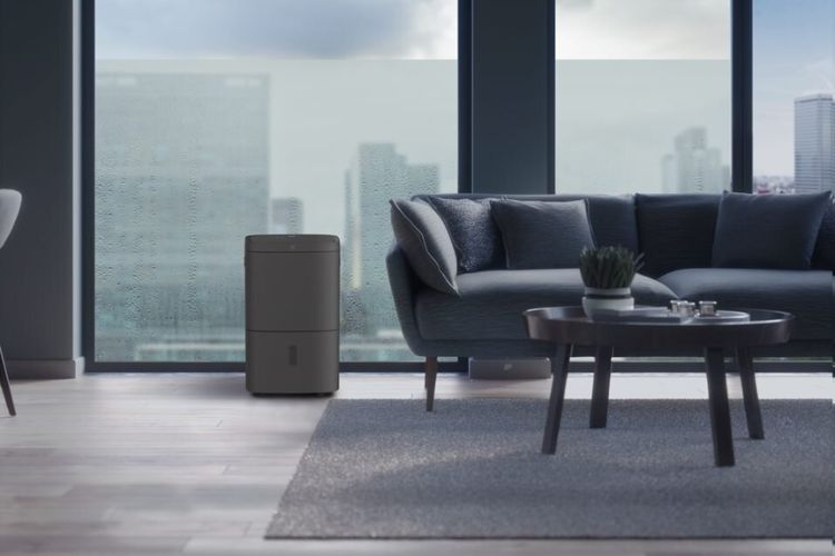 Hệ thống PureZen ảnh 4