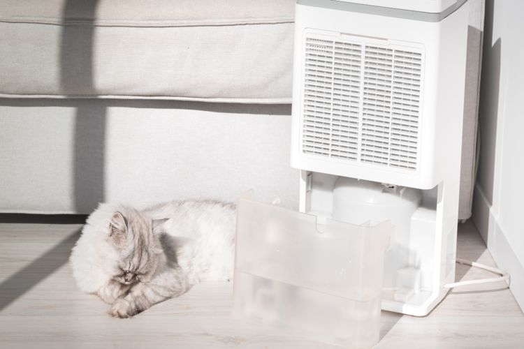 Hệ thống PureZen ảnh 7