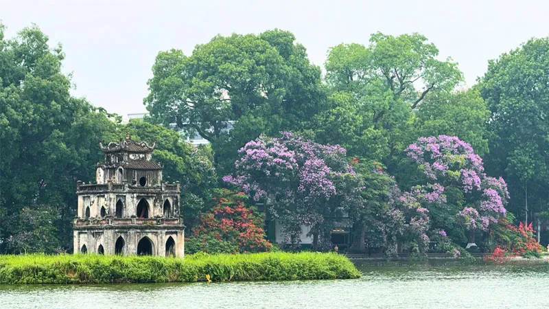 hinh-anh-ho-guom-19.png