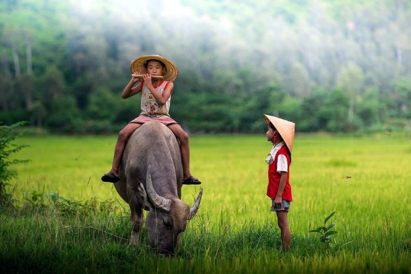 Hình ảnh Quốc tế Thiếu nhi ảnh 15