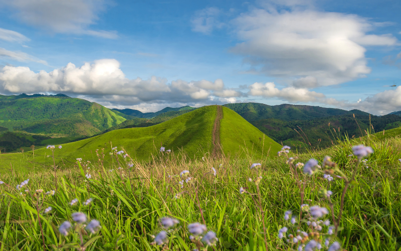 hình nền 1920x1080 (ảnh 11)
