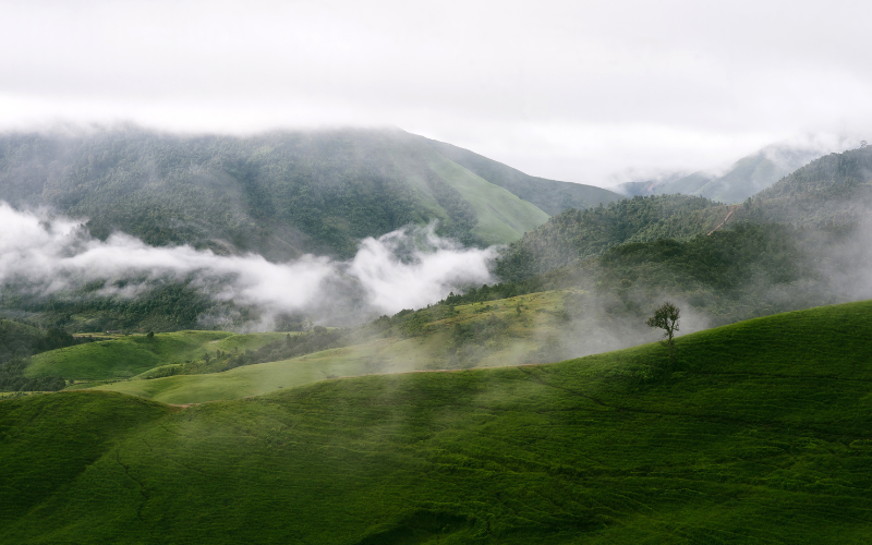 hình nền 1920x1080 (ảnh 15)
