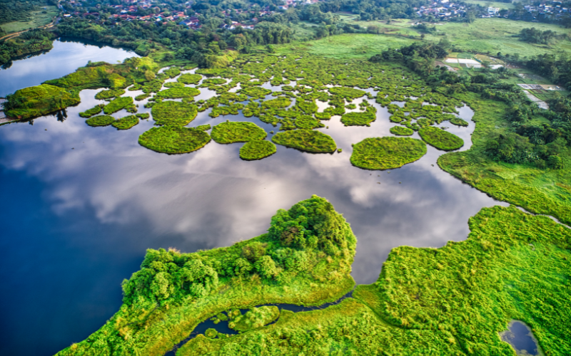 hình nền 1920x1080 (ảnh 16)