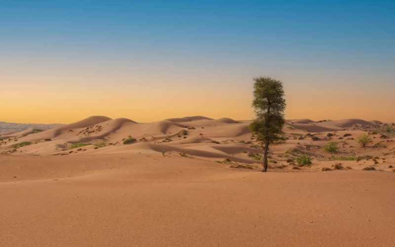 hình nền 1920x1080 (ảnh 17)