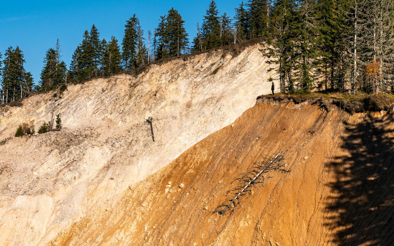 hình nền 1920x1080 (ảnh 19)