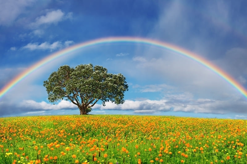 Hình nền 7 sắc cầu vồng ảnh 1