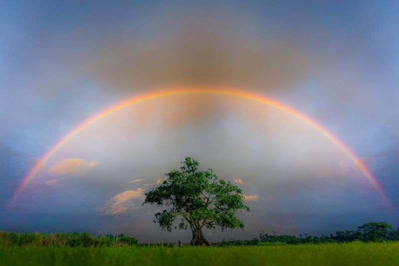 Hình nền 7 sắc cầu vồng ảnh 23