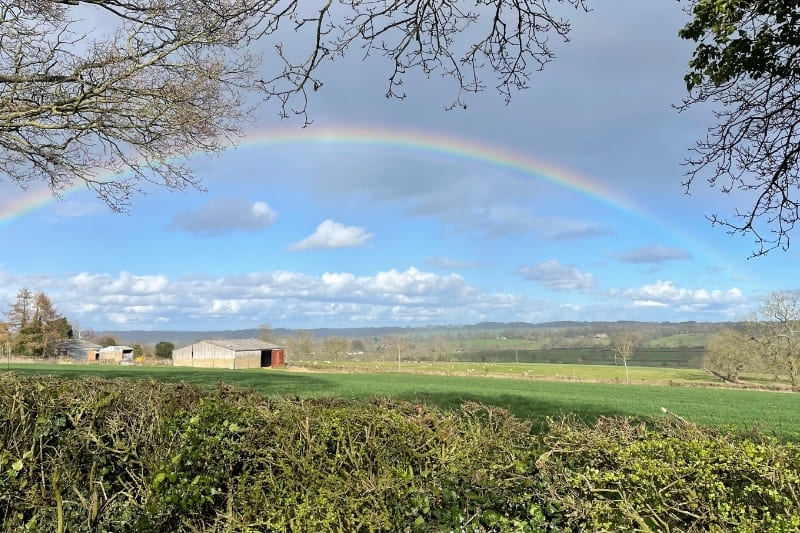 Hình nền 7 sắc cầu vồng ảnh 25