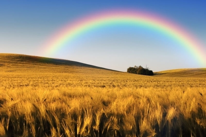 Hình nền 7 sắc cầu vồng ảnh 31