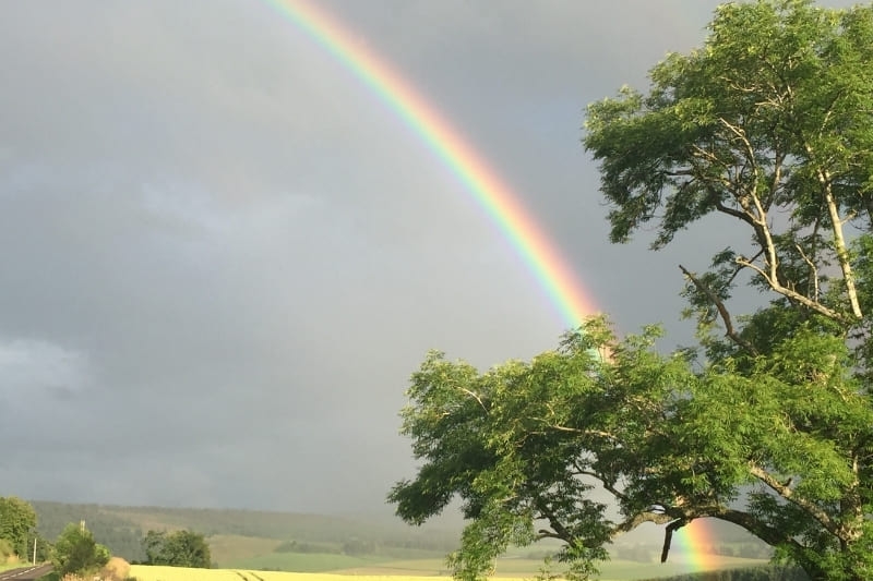 Hình nền 7 sắc cầu vồng ảnh 35