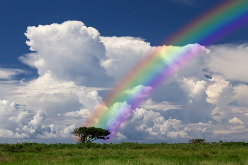 Hình nền 7 sắc cầu vồng ảnh 36