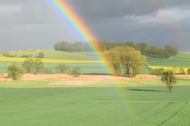 Hình nền 7 sắc cầu vồng ảnh 40