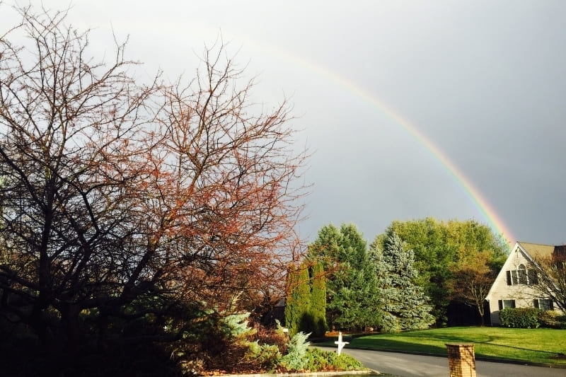 Hình nền 7 sắc cầu vồng ảnh 6