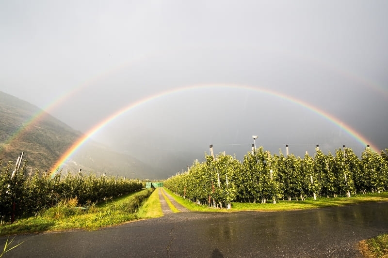 Hình nền 7 sắc cầu vồng ảnh 9