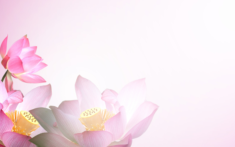 hình nền PowerPoint hoa (ảnh 11)