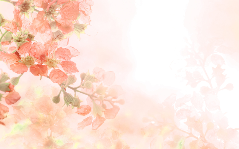 hình nền PowerPoint hoa (ảnh 14)