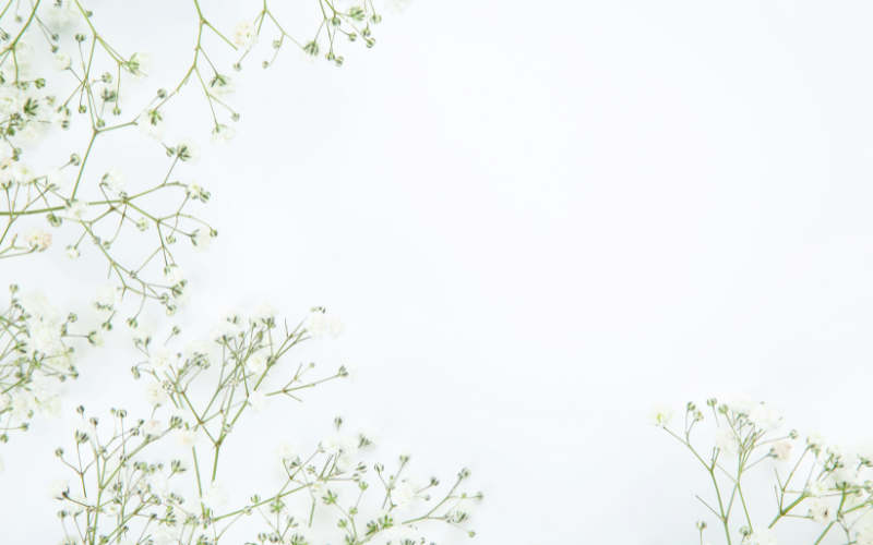 hình nền PowerPoint hoa (ảnh 15)