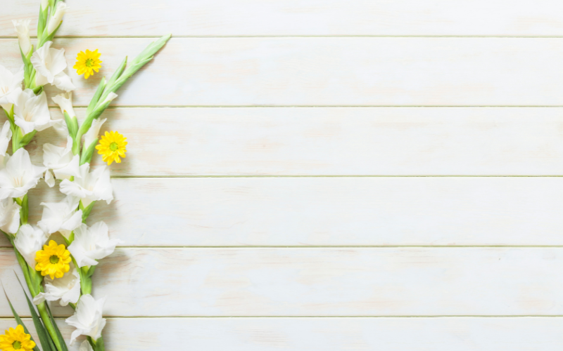 hình nền PowerPoint hoa (ảnh 16)