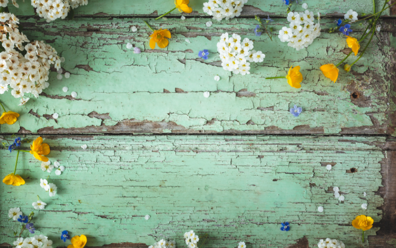 hình nền PowerPoint hoa (ảnh 17)