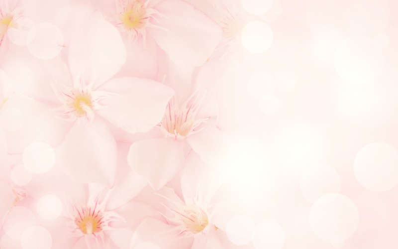 hình nền PowerPoint hoa (ảnh 18)