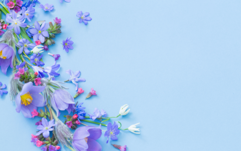 hình nền PowerPoint hoa (ảnh 20)