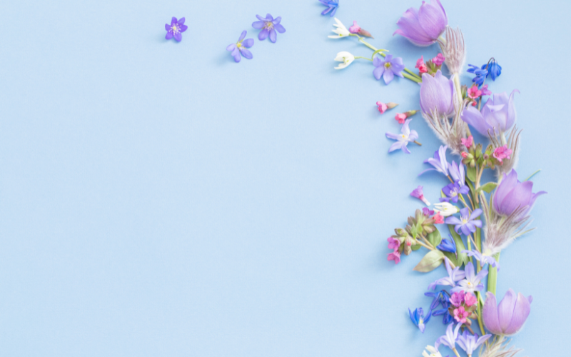 hình nền PowerPoint hoa (ảnh 21)