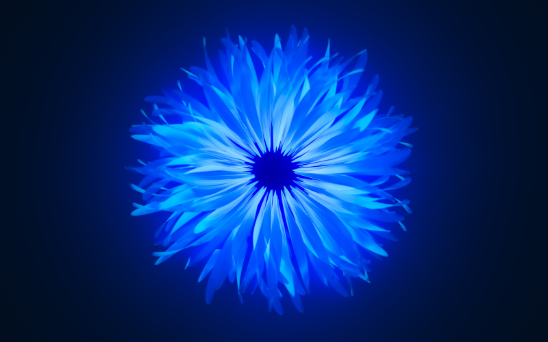 hình nền PowerPoint hoa (ảnh 23)