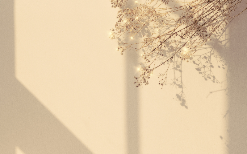 hình nền PowerPoint hoa (ảnh 26)