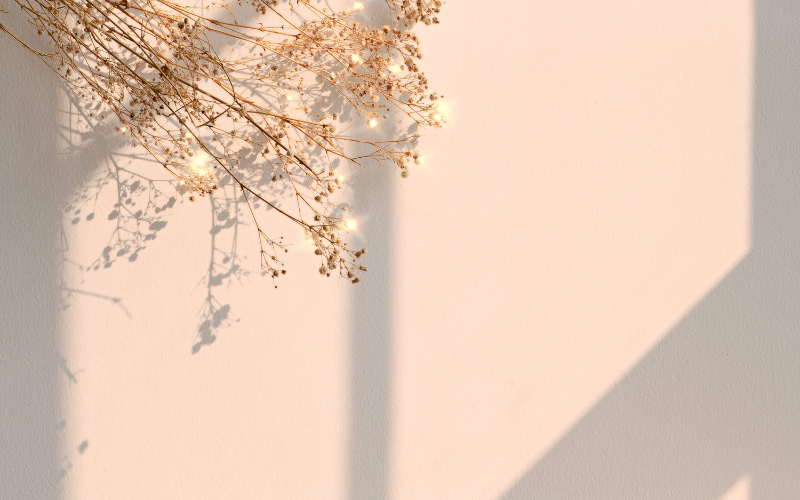 hình nền PowerPoint hoa (ảnh 27)