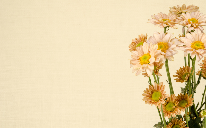 hình nền PowerPoint hoa (ảnh 28)